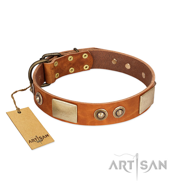 Easy adjustable leather dog collar for walking your four-legged friend