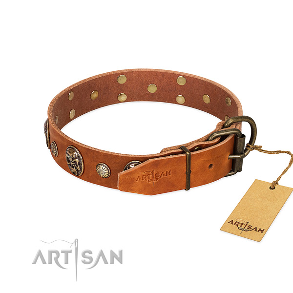 Corrosion resistant traditional buckle on natural genuine leather collar for stylish walking your canine