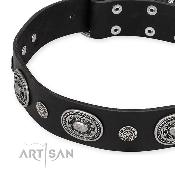 Best quality leather dog collar made for your stylish pet