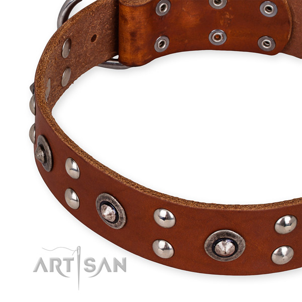 Genuine leather collar with corrosion proof fittings for your lovely canine