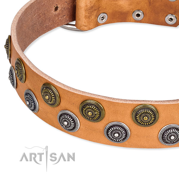 Daily walking adorned dog collar of best quality full grain genuine leather