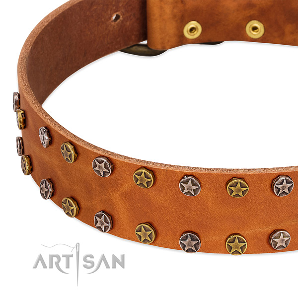 Stylish walking genuine leather dog collar with stylish decorations