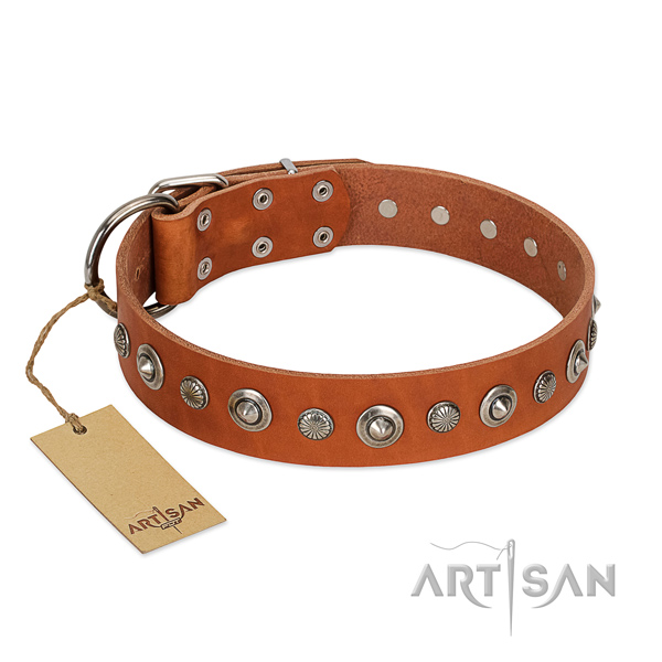 Strong natural leather dog collar with top notch studs