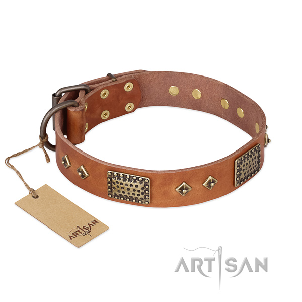Top notch full grain leather dog collar for daily use