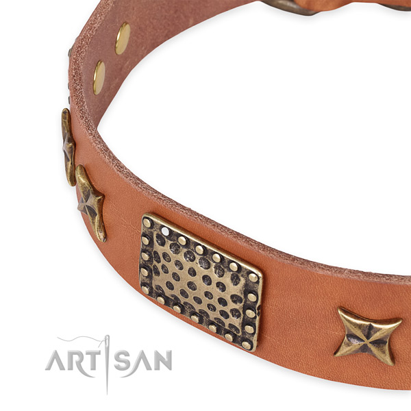 Leather collar with rust-proof fittings for your attractive canine