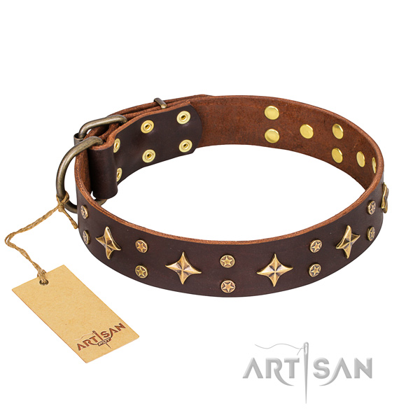 Handy use dog collar of durable full grain leather with embellishments
