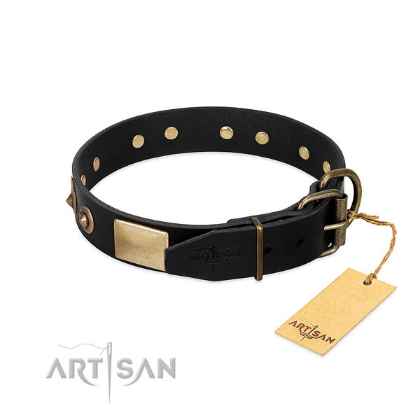 Strong buckle on everyday use dog collar