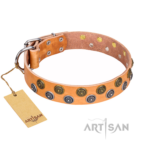 Handy use dog collar of durable full grain natural leather with studs