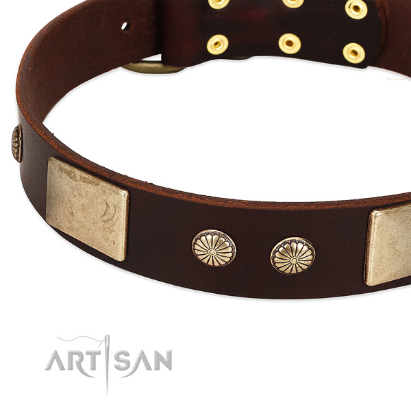 Rust resistant decorations on full grain leather dog collar for your four-legged friend