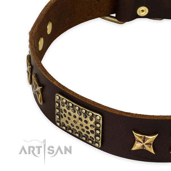 Leather collar with rust resistant fittings for your lovely canine