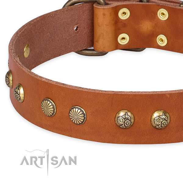 Natural genuine leather collar with corrosion resistant D-ring for your beautiful four-legged friend