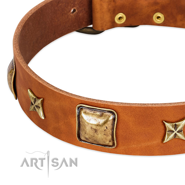 Strong traditional buckle on full grain genuine leather dog collar for your doggie