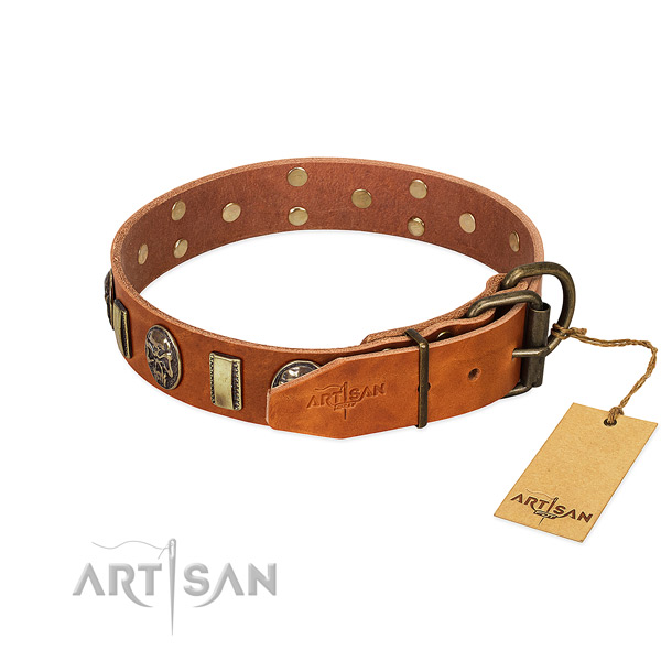 Reliable hardware on genuine leather collar for everyday walking your four-legged friend