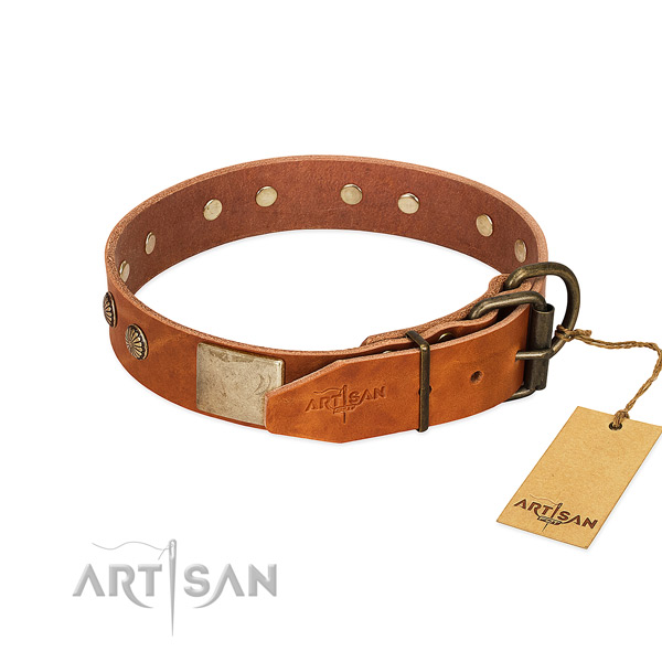 Strong traditional buckle on walking dog collar