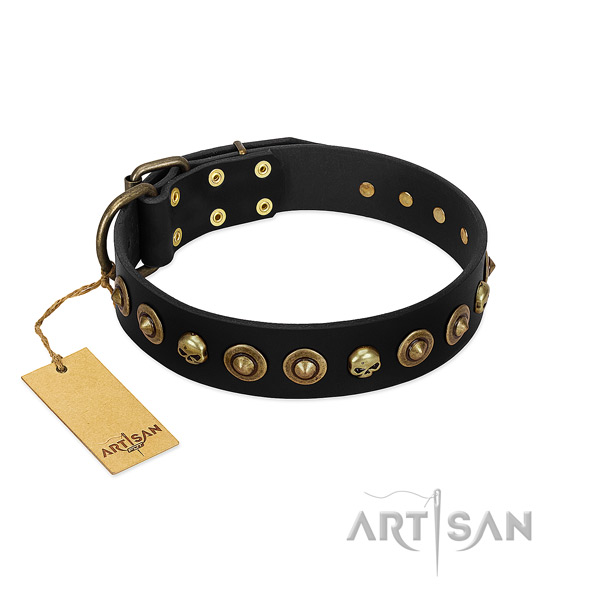 Genuine leather collar with remarkable embellishments for your four-legged friend