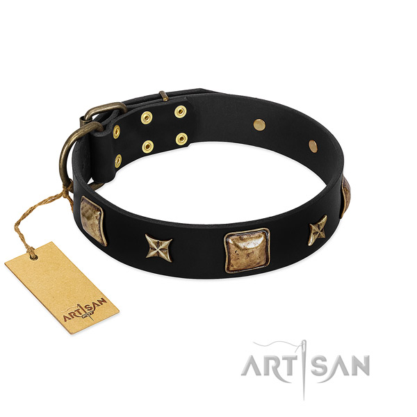 Genuine leather dog collar of top rate material with incredible studs