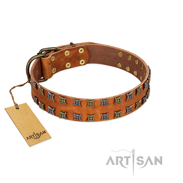 Top rate genuine leather dog collar with embellishments for your doggie