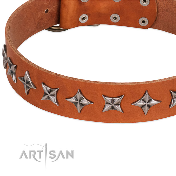 Everyday use studded dog collar of reliable natural leather