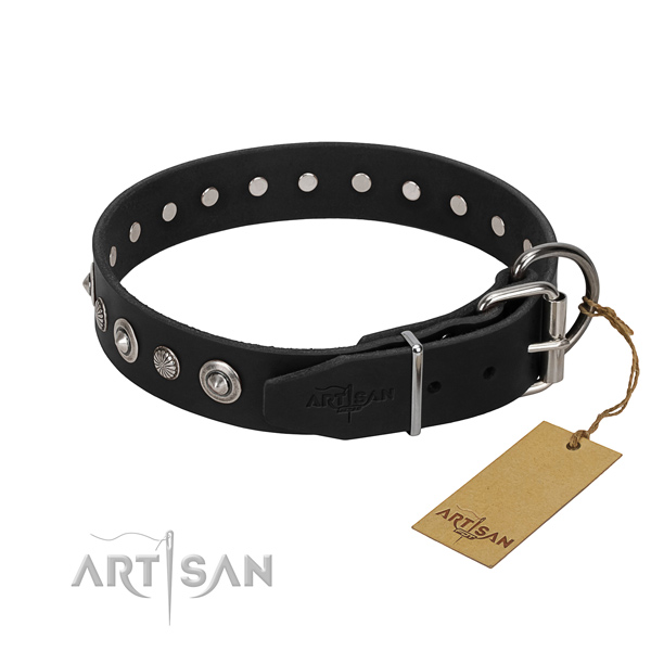 Durable natural leather dog collar with exquisite embellishments