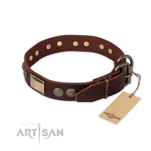 Strong traditional buckle on full grain genuine leather collar for walking your canine