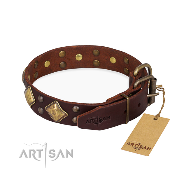 Leather dog collar with remarkable rust resistant studs