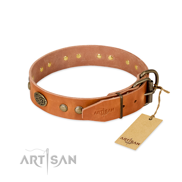 Corrosion resistant embellishments on leather dog collar for your canine