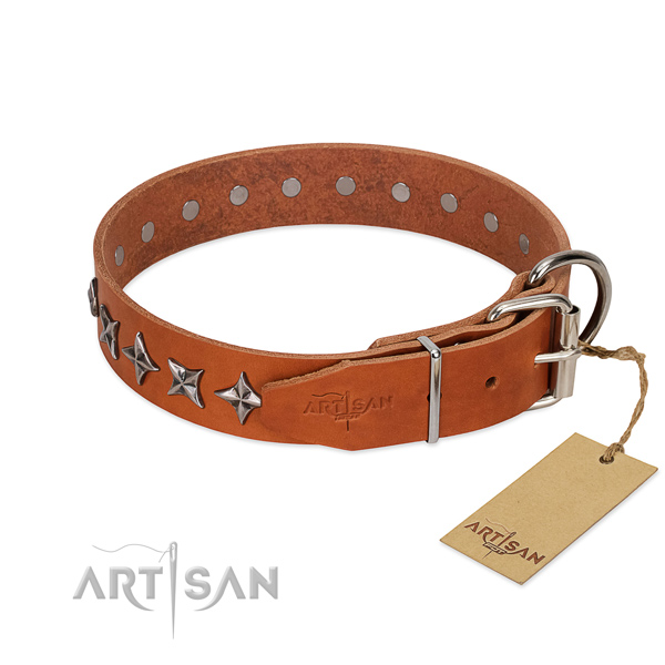 Daily use decorated dog collar of fine quality leather