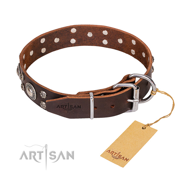 Fancy walking decorated dog collar of high quality full grain leather