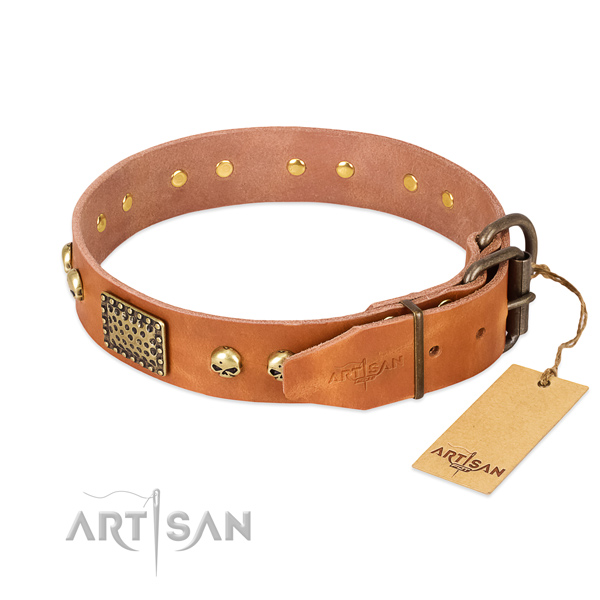 Rust resistant fittings on handy use dog collar