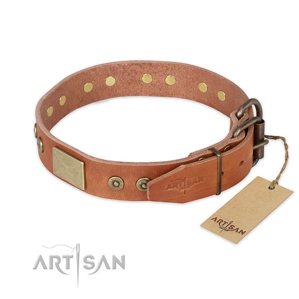 Corrosion resistant D-ring on full grain leather collar for walking your pet