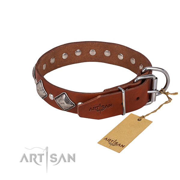 Walking studded dog collar of durable genuine leather