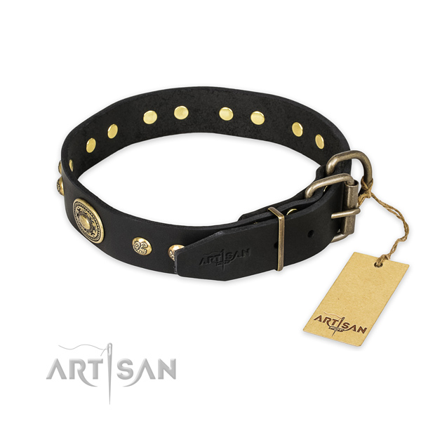Strong D-ring on leather collar for fancy walking your doggie