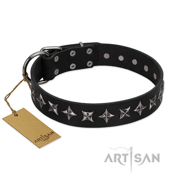 Comfortable wearing dog collar of durable full grain natural leather with decorations