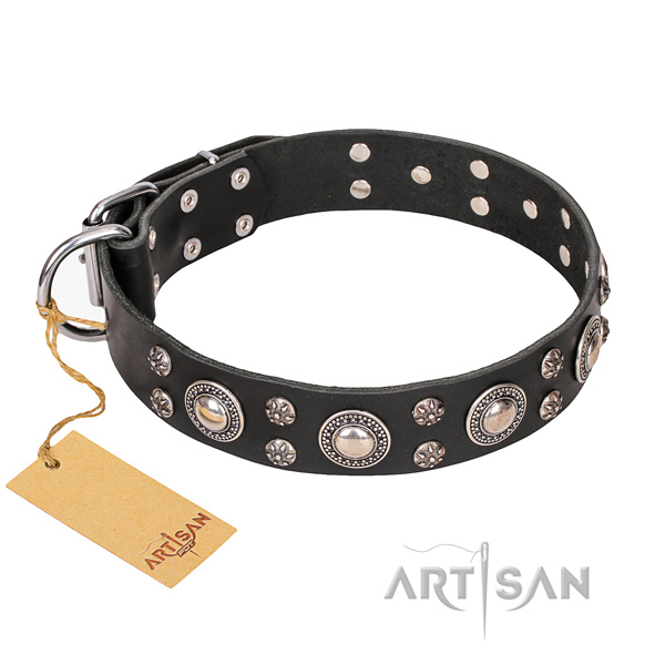 Everyday use dog collar of best quality natural leather with studs