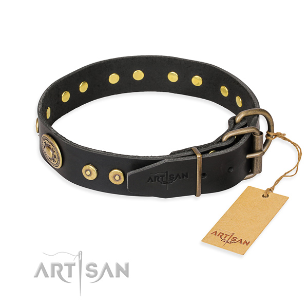 Full grain leather dog collar made of high quality material with corrosion proof adornments