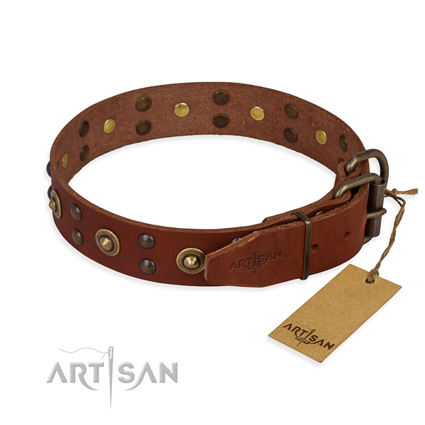 Corrosion resistant fittings on leather collar for your handsome dog