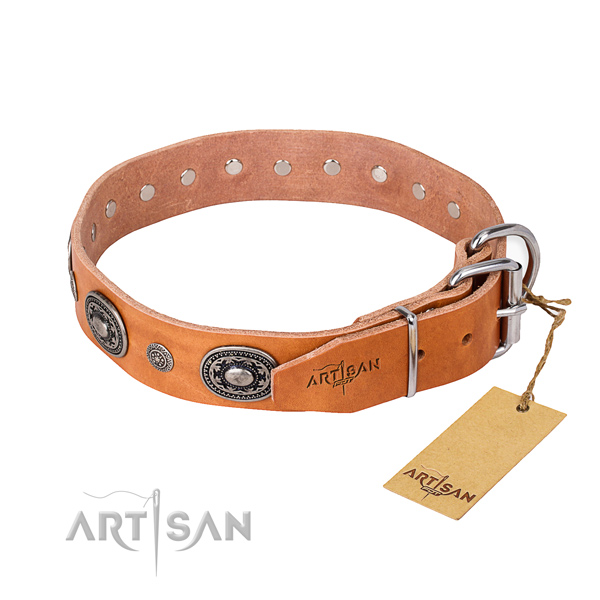 Durable genuine leather dog collar created for everyday walking