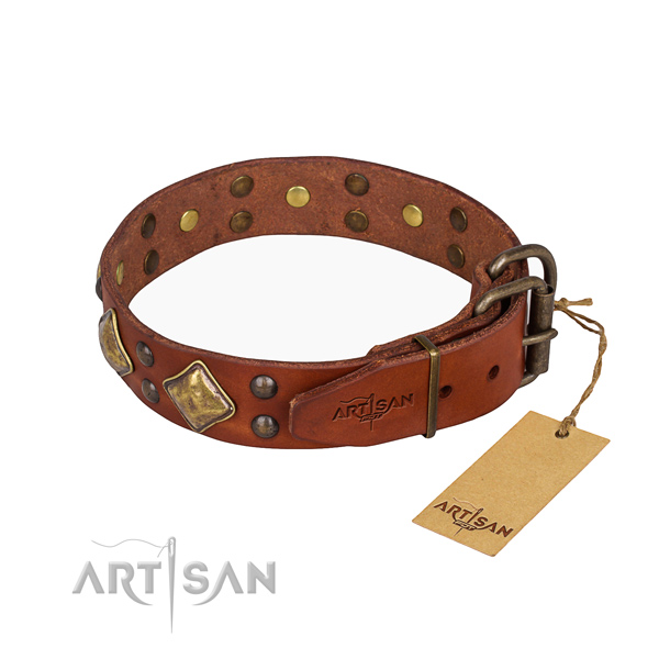 Leather dog collar with unusual corrosion proof adornments
