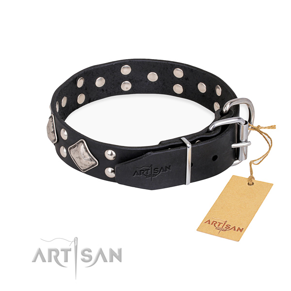 Full grain leather dog collar with trendy corrosion resistant studs