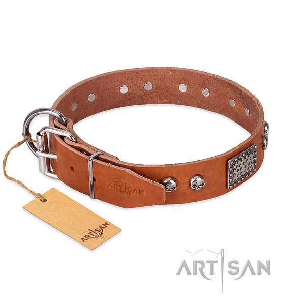 Rust-proof adornments on daily use dog collar