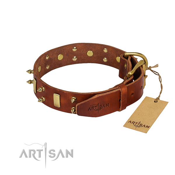 Easy wearing adorned dog collar of best quality leather