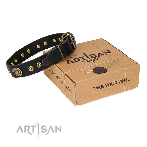 Full grain natural leather dog collar made of top notch material with rust resistant hardware