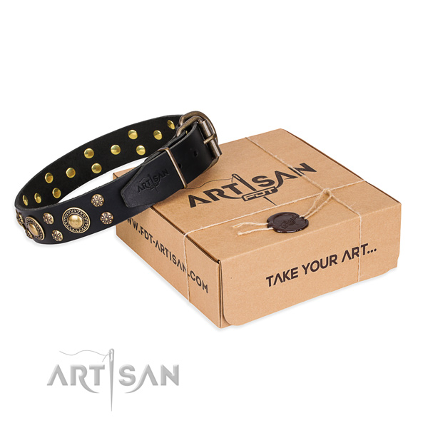 Daily walking dog collar of quality full grain natural leather with decorations