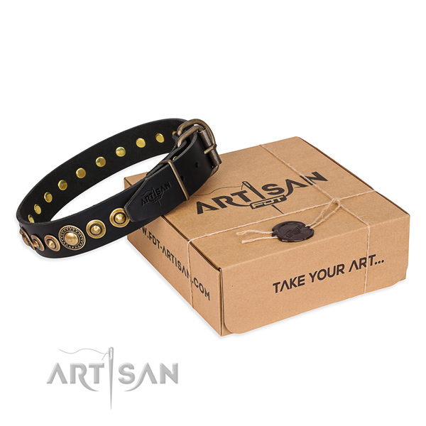 Durable full grain natural leather dog collar crafted for everyday use
