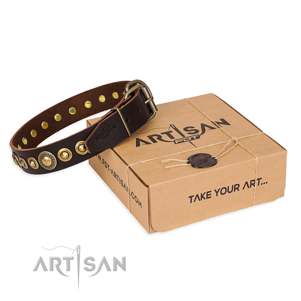 Reliable natural genuine leather dog collar crafted for fancy walking