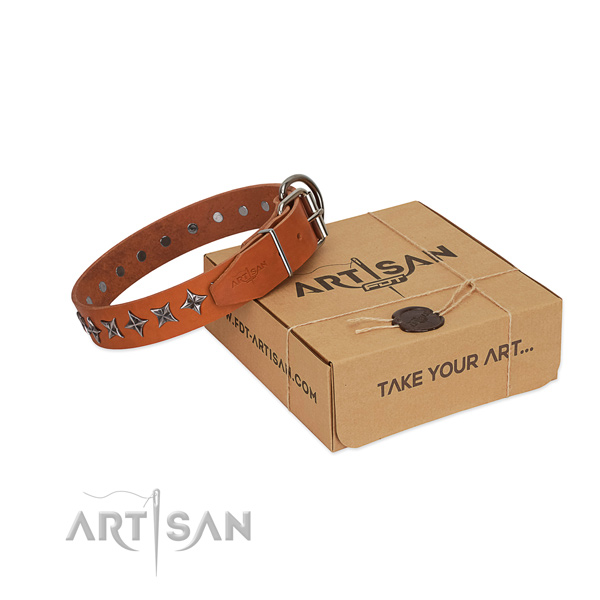 Quality genuine leather dog collar with unique studs