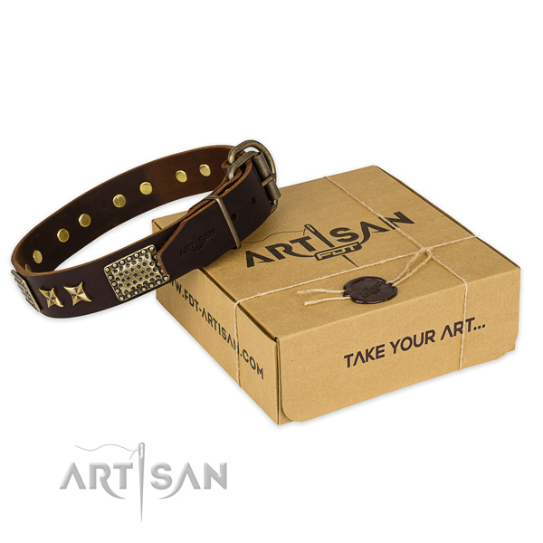 Durable D-ring on natural genuine leather collar for your beautiful canine