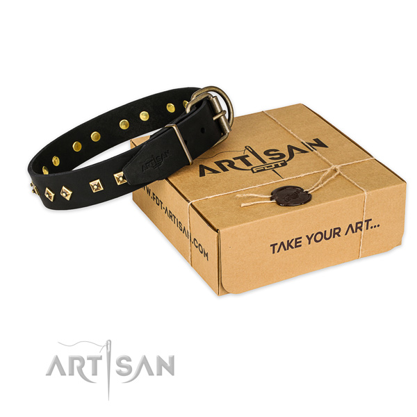 Reliable hardware on full grain leather collar for your handsome four-legged friend
