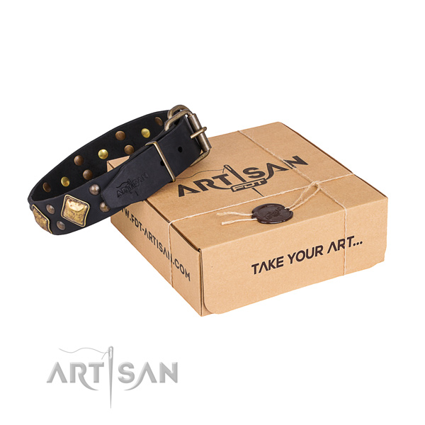 Daily use dog collar with Significant rust resistant decorations