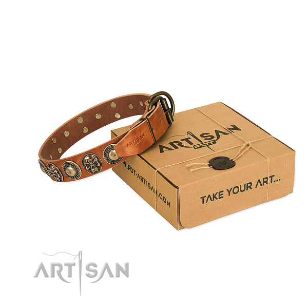 Rust-proof decorations on dog collar for walking